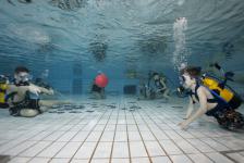 schnuppertauchen 2012_01_06_42